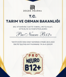 Pro-Neuro B12+ 