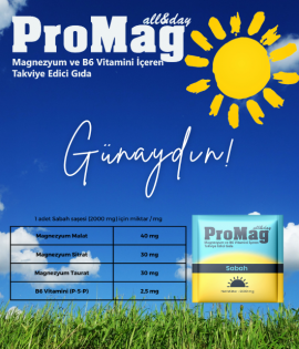 ProMag All&Day Magnezyum ve B6 Vitamini İçeren Takviye Edici Gıda ProMag All&Day Magnezyum ve B6 Vitamini İçeren Takviye Edici Gıda